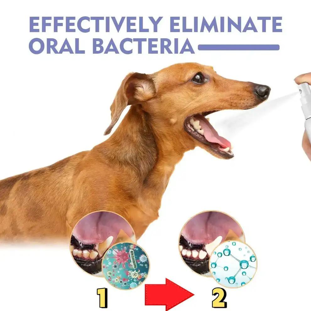 Dental Care Drops - Image 2