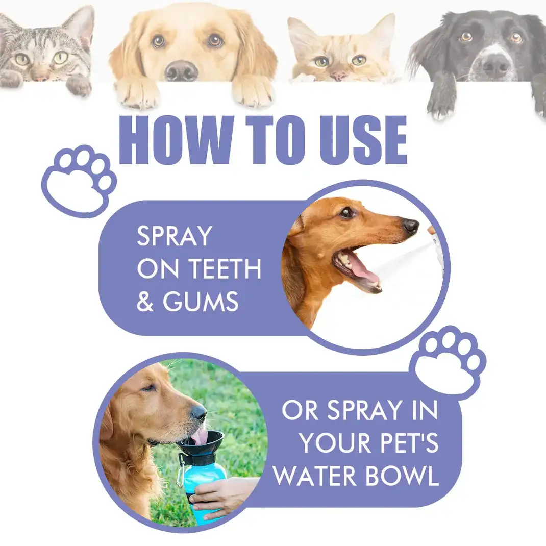 Dental Care Drops - Image 4