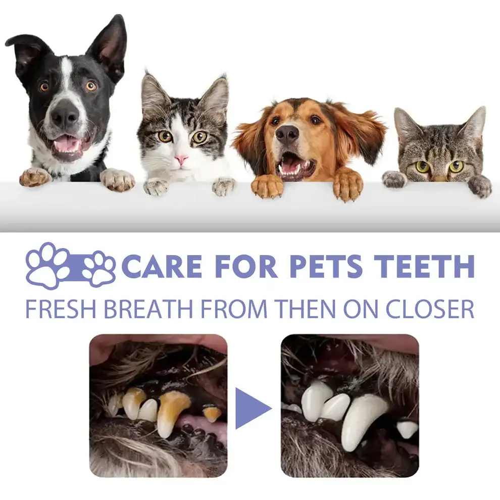 Dental Care Drops - Image 5